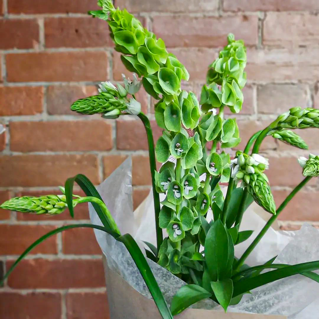 Funky Bouquet
